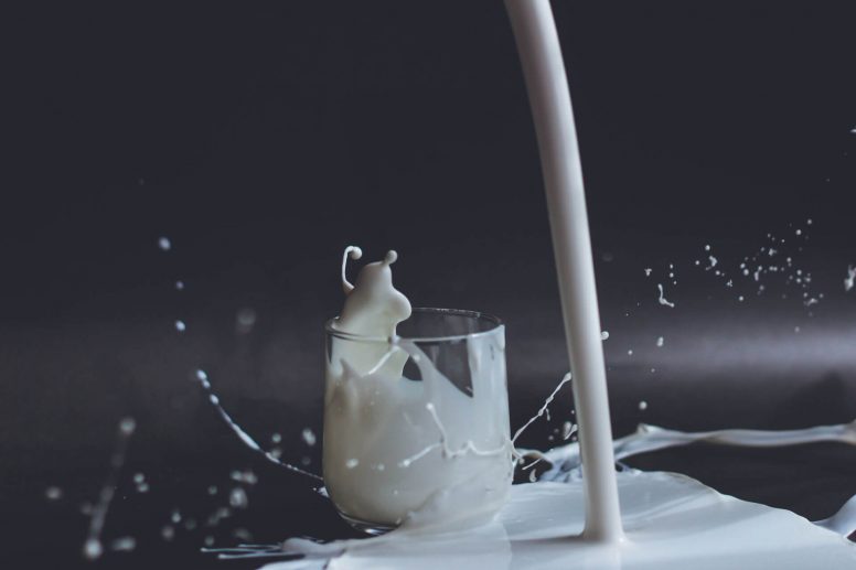 La leche es importante en una dieta ovolactovegetariana y lactovegetariana para mejorar la salud ósea